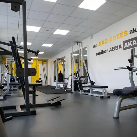 Πανσιόν Arkadia Vendeghaz 3*